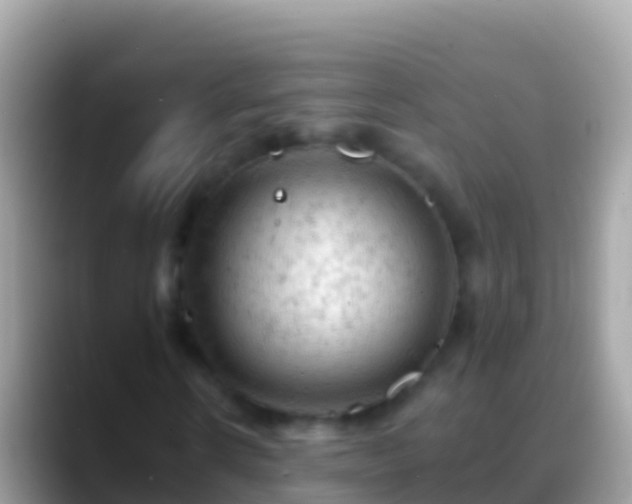 X0000088650914200706011218