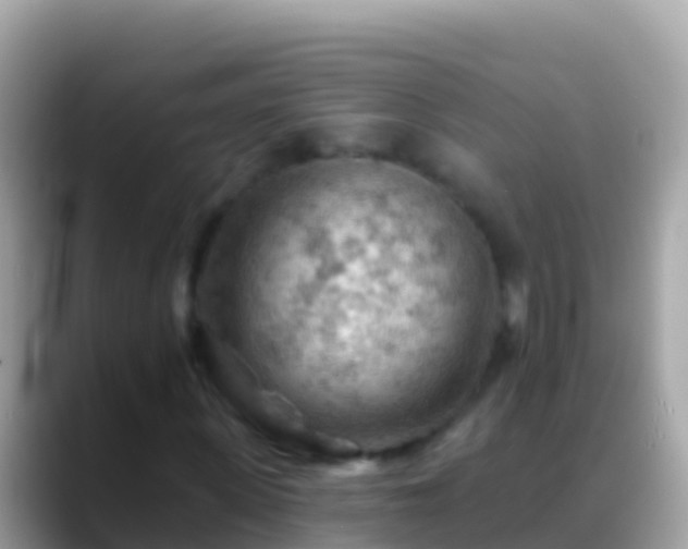 X0000088650915200706011218
