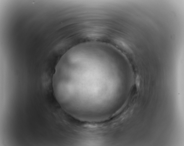 X0000088650917200706011218