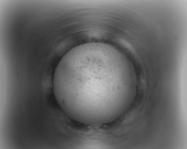 X0000088650918200706011218