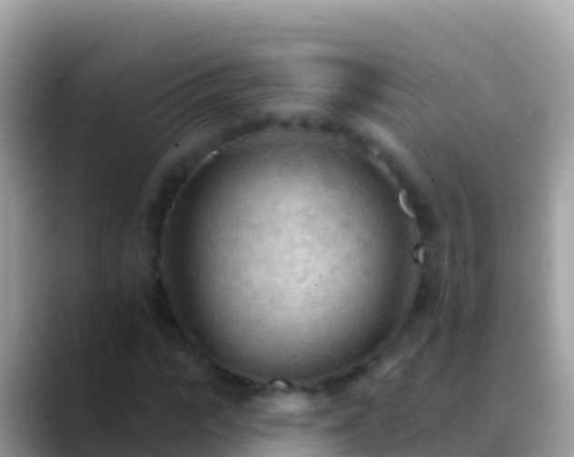 X0000088650919200706011218