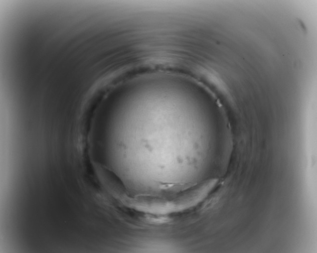 X0000088650920200706011218