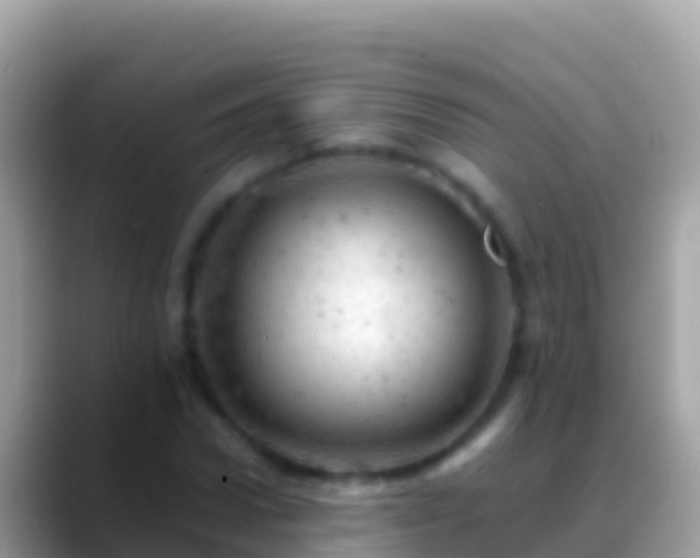 X0000088650922200706011218