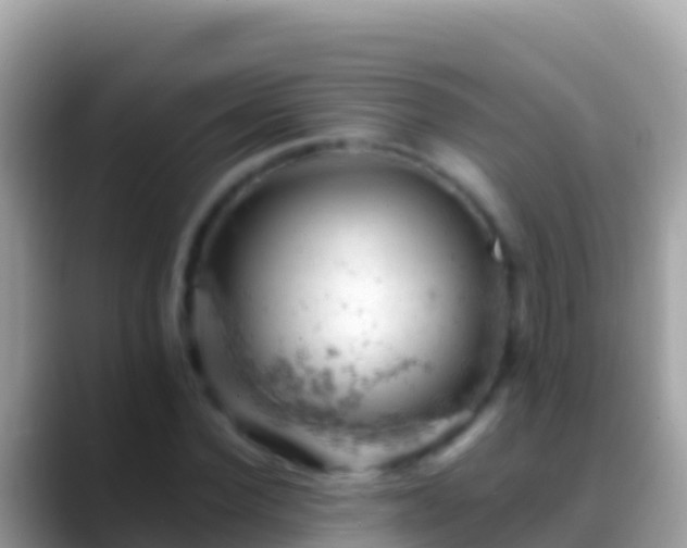 X0000088650924200706011218