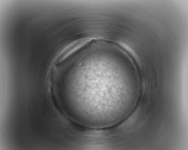X0000088650925200706011218