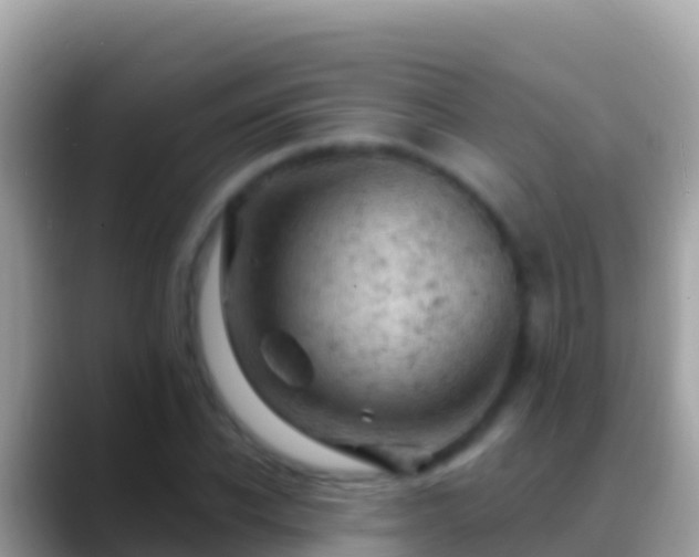 X0000088650926200706011218