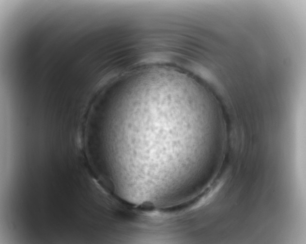 X0000088650929200706011218