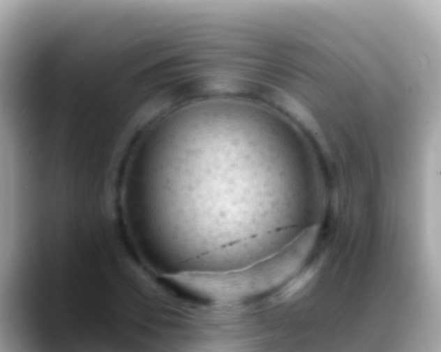 X0000088650930200706011218