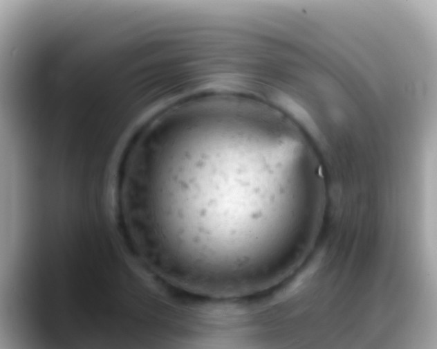 X0000088650931200706011218