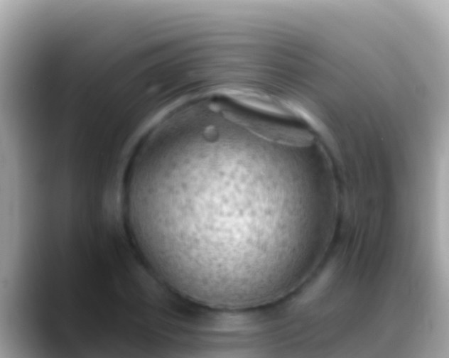 X0000088650933200706011218