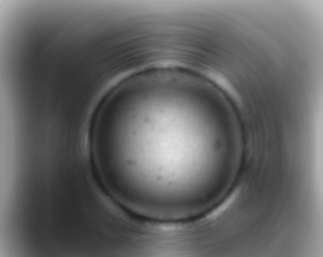 X0000088650934200706011218