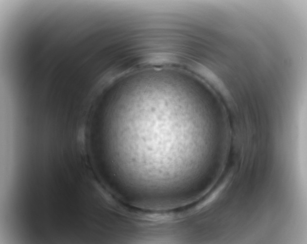 X0000088650937200706011218
