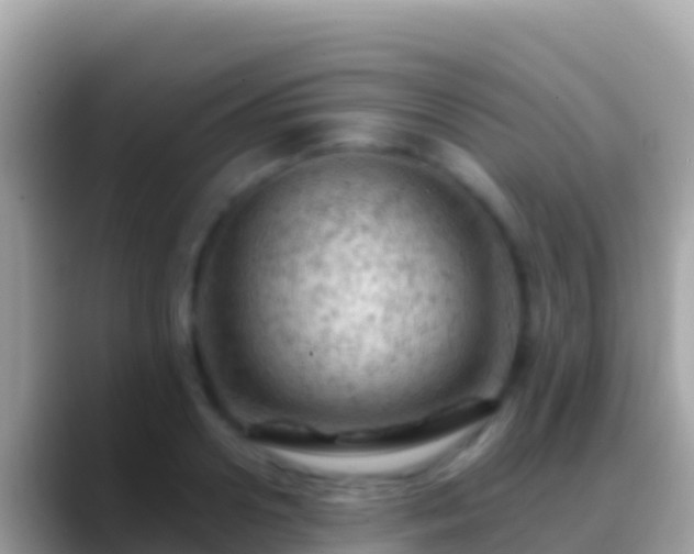 X0000088650938200706011218