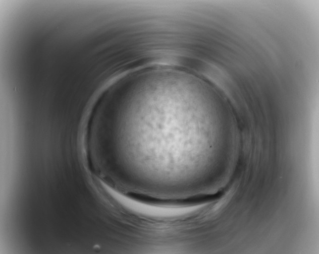 X0000088650939200706011218