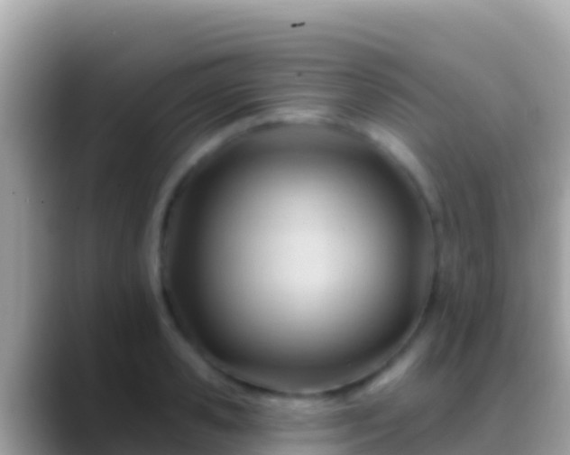 X0000088650941200706011218