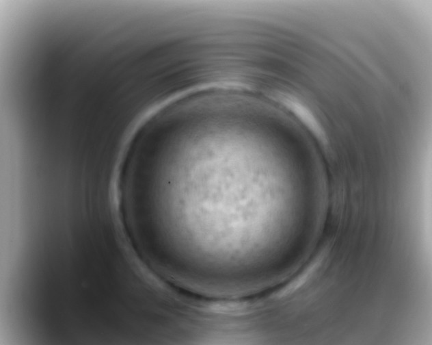 X0000088650944200706011218