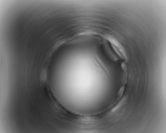 X0000088650945200706011218