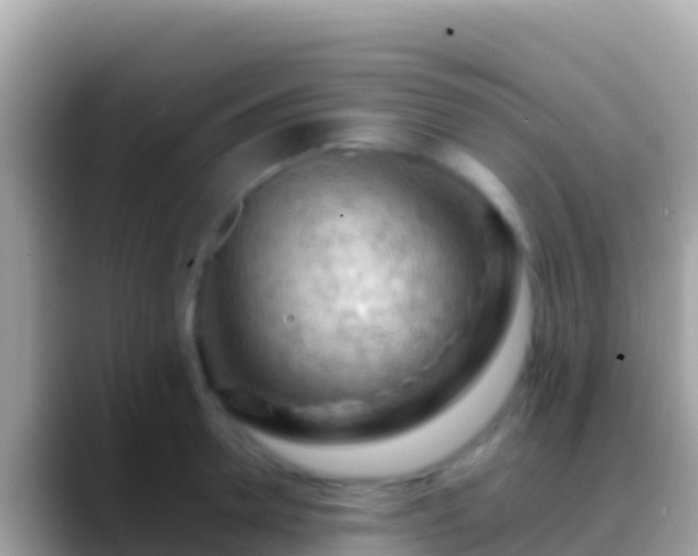 X0000088650946200706011218