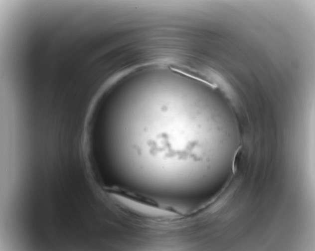 X0000088650948200706011218