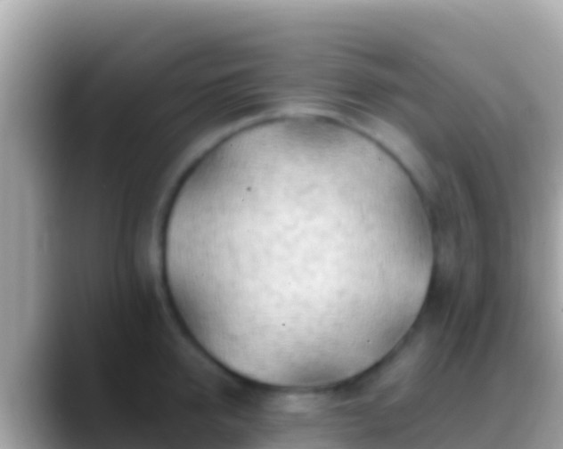 X0000088650950200706011218