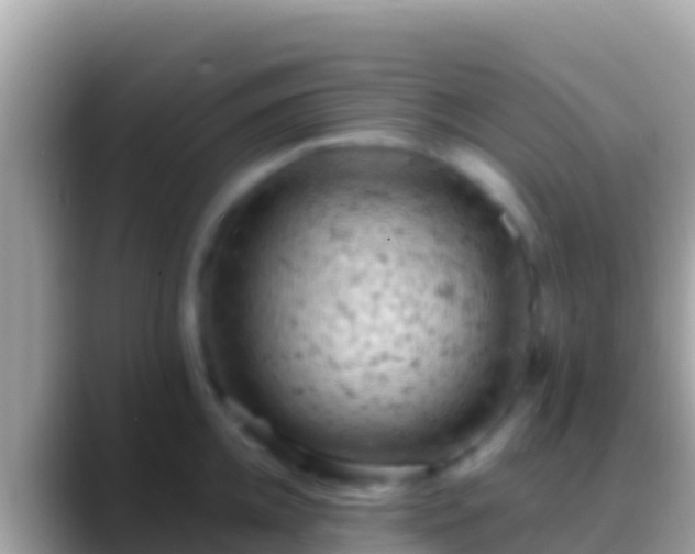 X0000088650952200706011218
