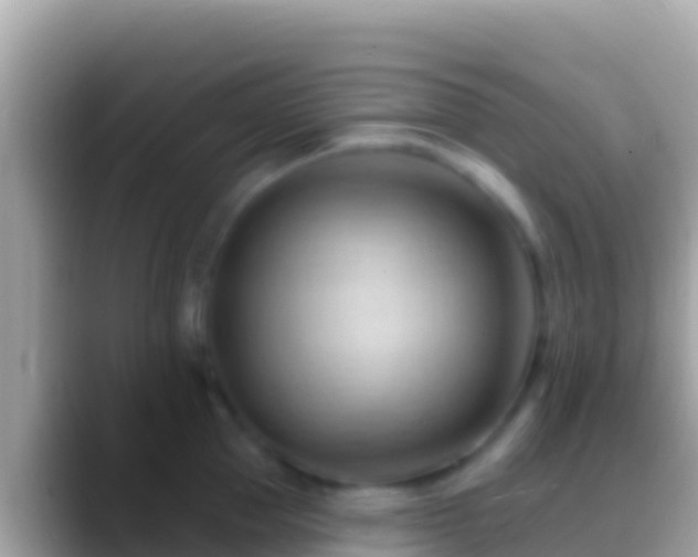 X0000088650953200706011219