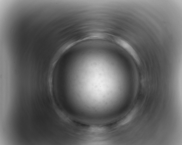 X0000088650954200706011219
