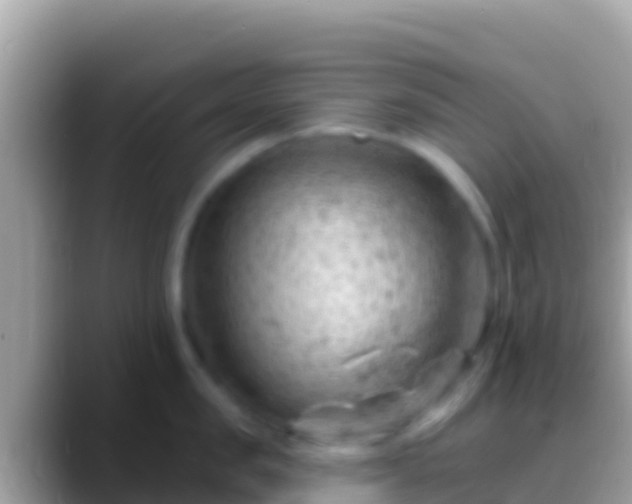 X0000088650957200706011219