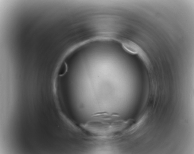 X0000088650958200706011219
