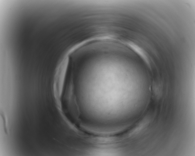 X0000088650959200706011219