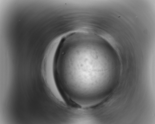 X0000088650960200706011219