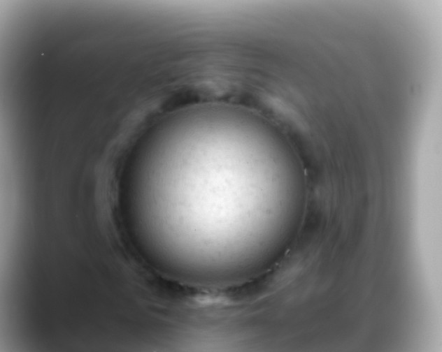 X0000088650961200706011218