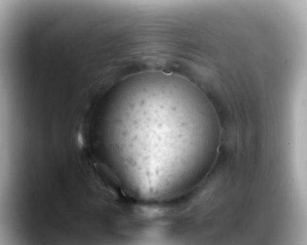 X0000088650962200706011218