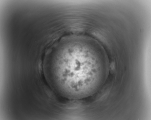 X0000088650963200706011218