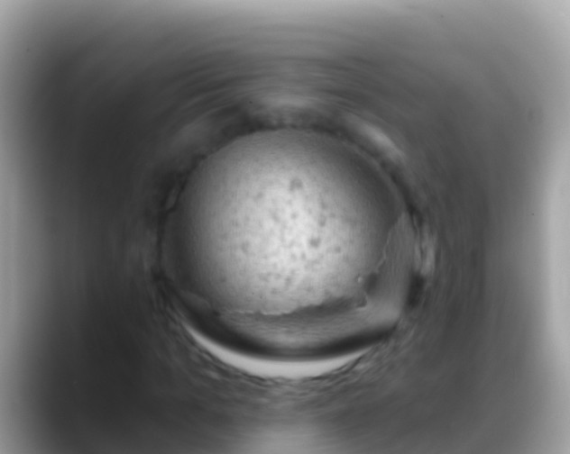 X0000088650965200706011218