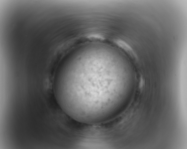 X0000088650966200706011218