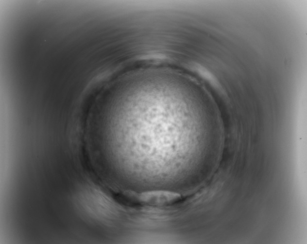 X0000088650967200706011218