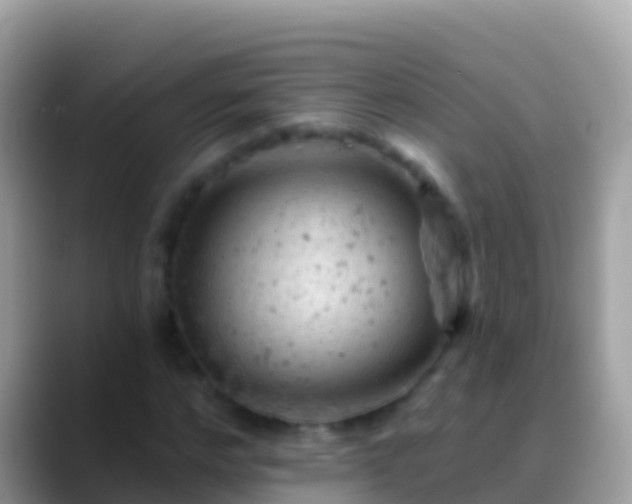 X0000088650968200706011218