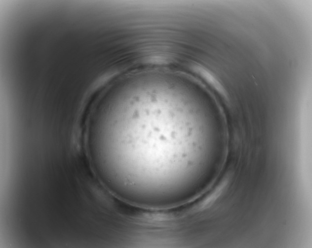 X0000088650970200706011218