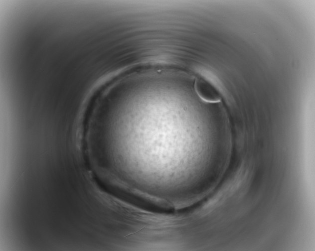 X0000088650971200706011218