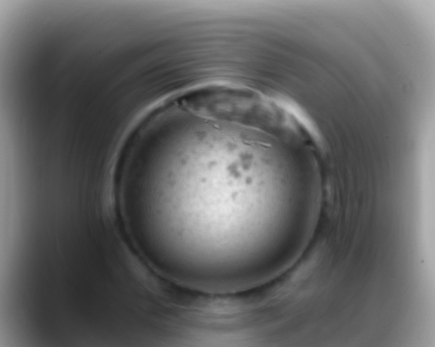 X0000088650972200706011218