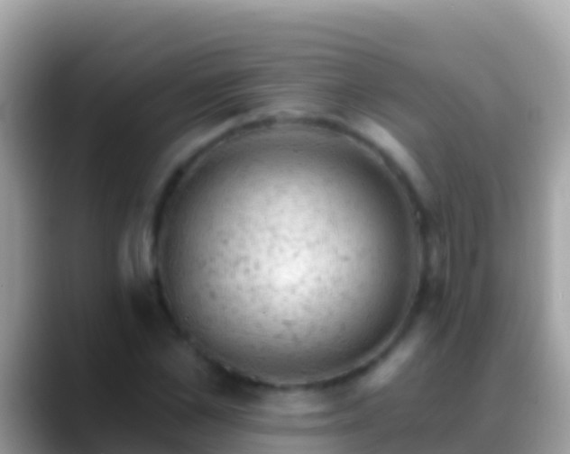 X0000088650973200706011218
