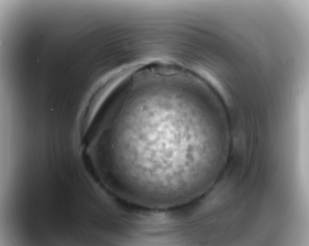 X0000088650975200706011218