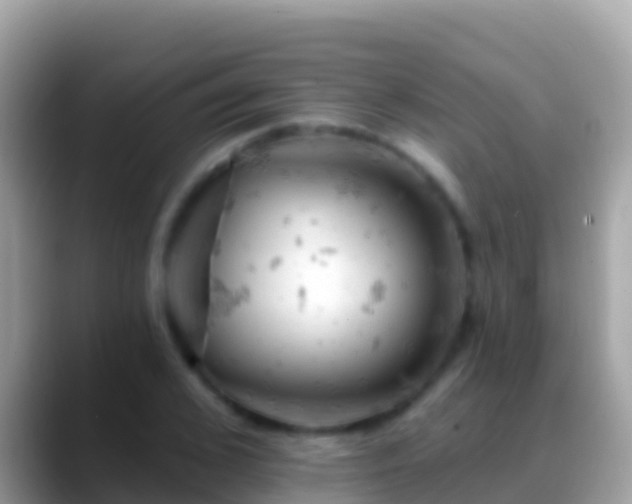 X0000088650976200706011218