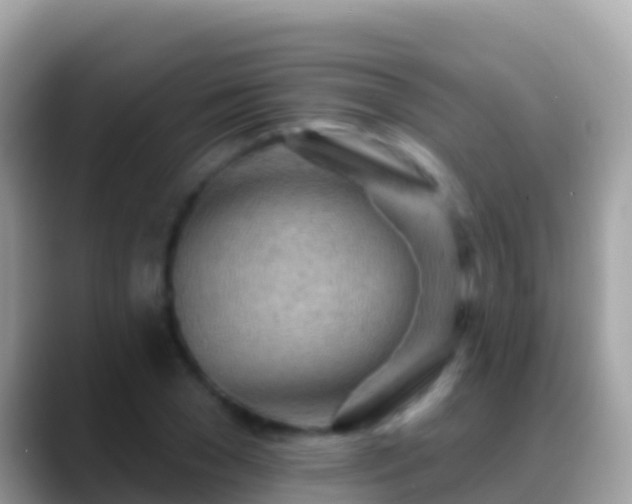 X0000088650977200706011218