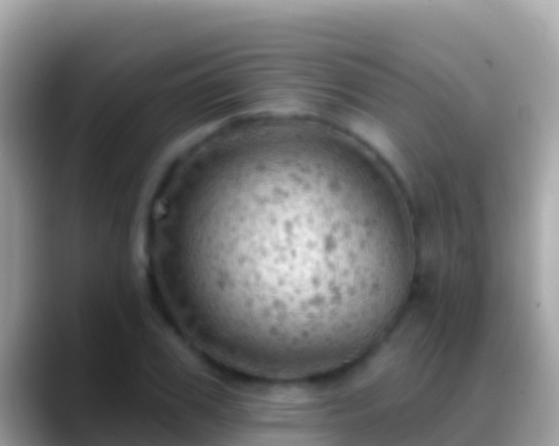 X0000088650979200706011218