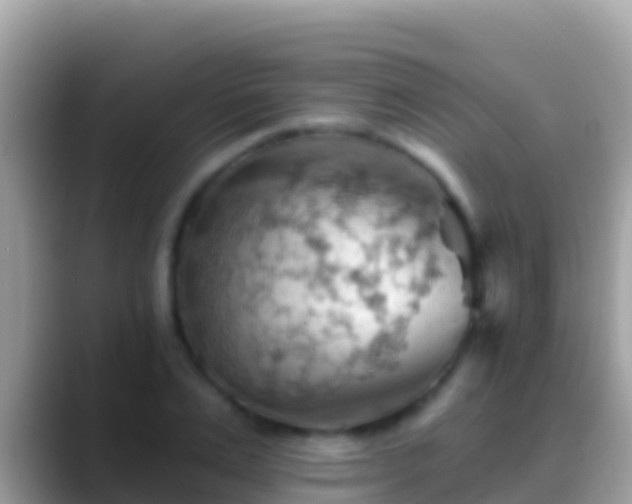 X0000088650983200706011218