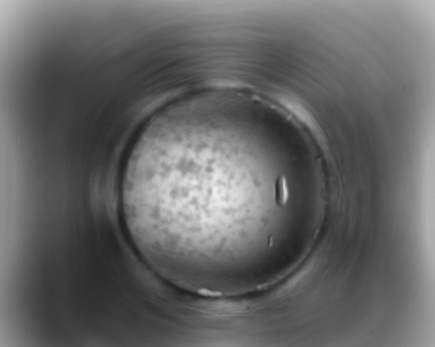 X0000088650984200706011218
