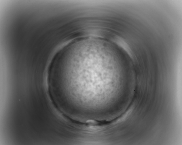 X0000088650987200706011218