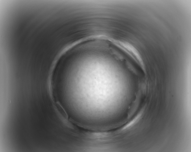 X0000088650989200706011218